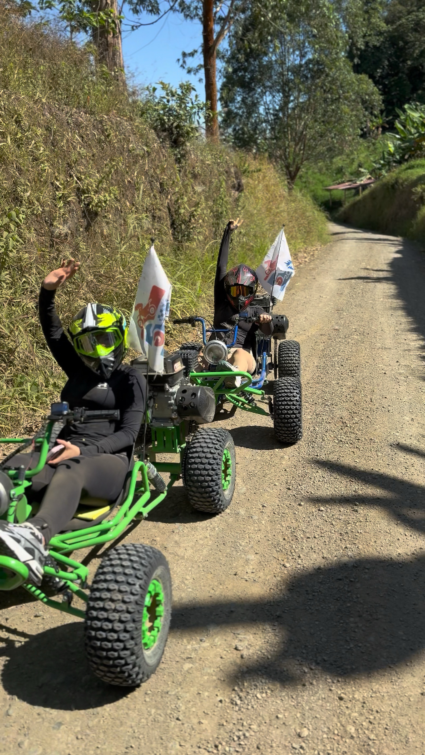 Primavera buggies