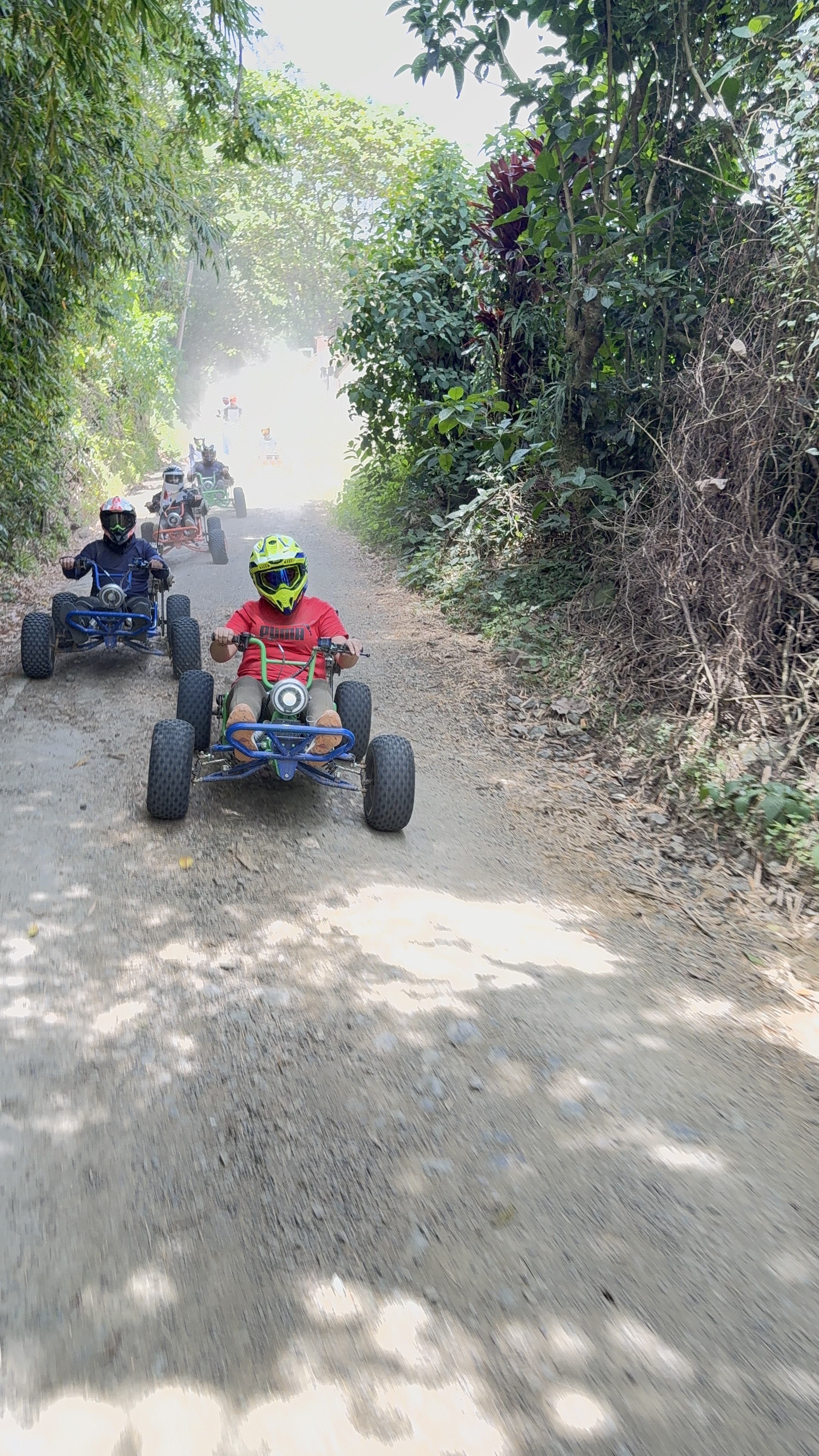 Primavera buggies